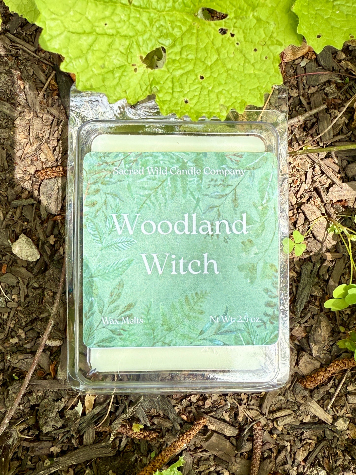 Woodland Witch