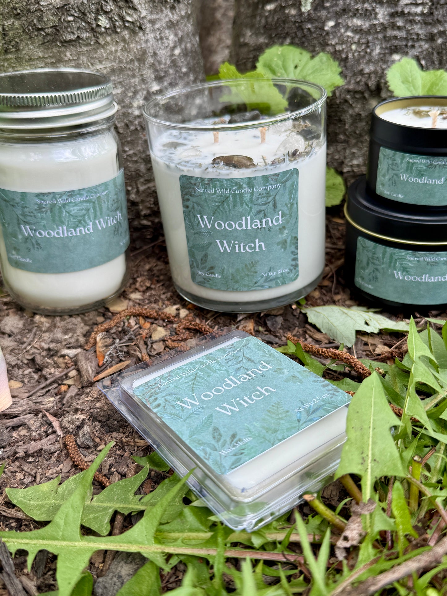 Woodland Witch
