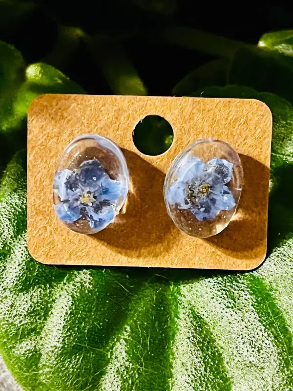 Forget - Me - Not Earrings. - Jewelry