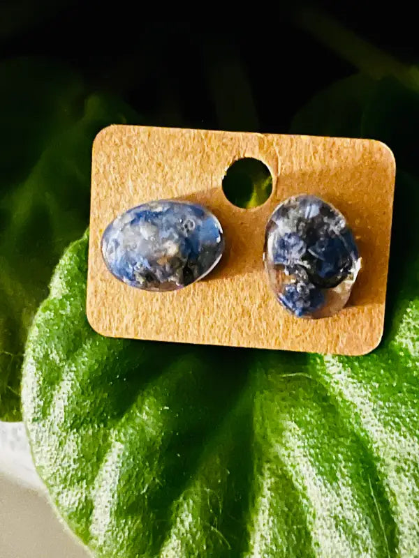 Forget - Me - Not Earrings. - Jewelry