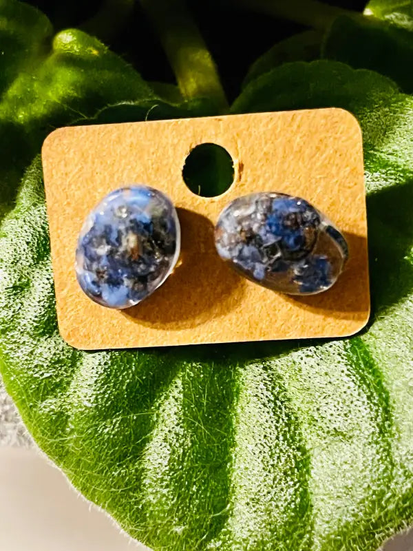 Forget - Me - Not Earrings. - Jewelry