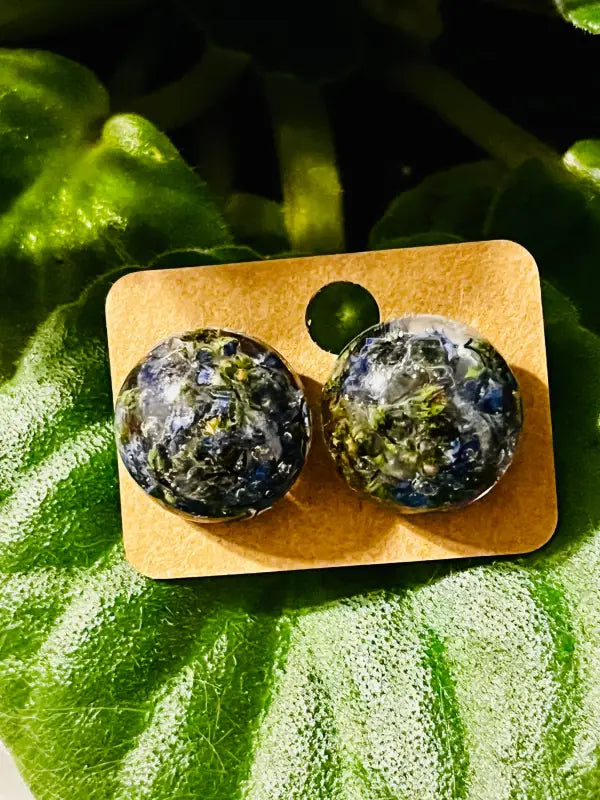 Forget - Me - Not Earrings. - Jewelry