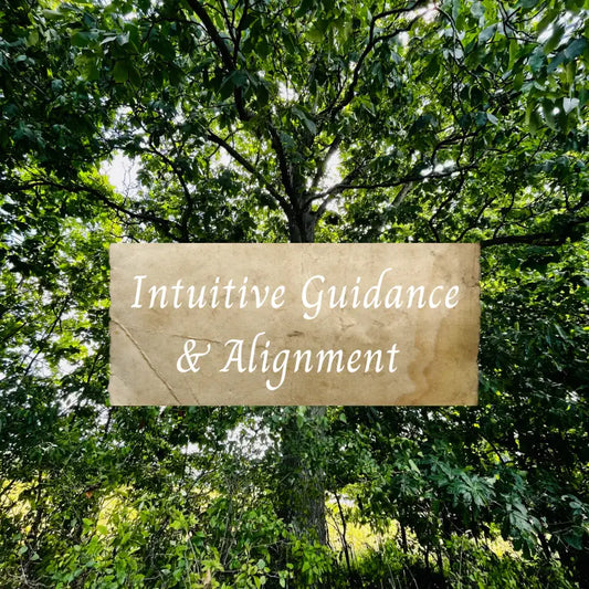 Intuitive Guidance and Alignment Session - 60 Minute Spiritual